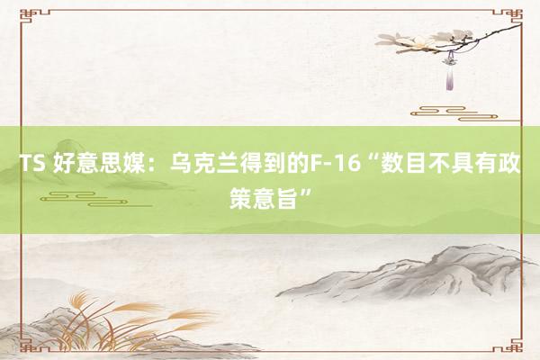 TS 好意思媒：乌克兰得到的F-16“数目不具有政策意旨”