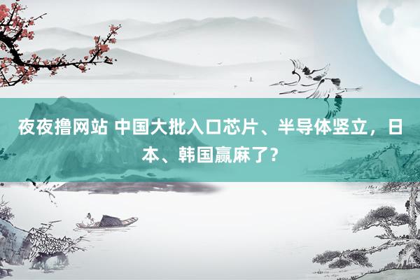 夜夜撸网站 中国大批入口芯片、半导体竖立，日本、韩国赢麻了？