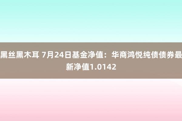 黑丝黑木耳 7月24日基金净值：华商鸿悦纯债债券最新净值1.0142