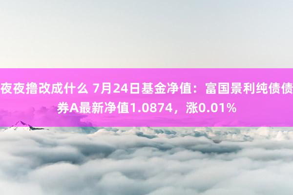 夜夜撸改成什么 7月24日基金净值：富国景利纯债债券A最新净值1.0874，涨0.01%