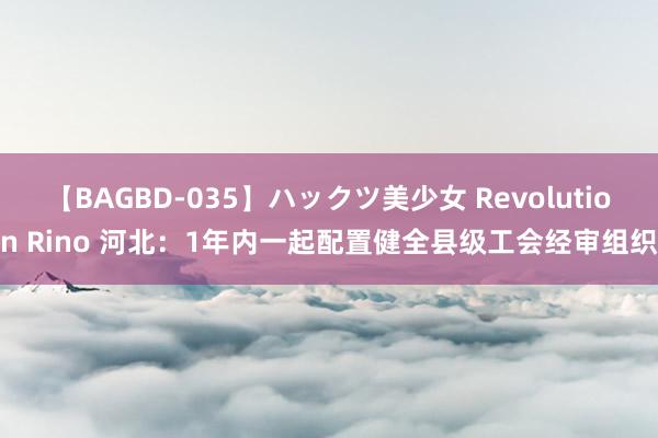 【BAGBD-035】ハックツ美少女 Revolution Rino 河北：1年内一起配置健全县级工会经审组织