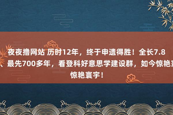 夜夜撸网站 历时12年，终于申遗得胜！全长7.8公里、最先700多年，看登科好意思学建设群，如今惊艳寰宇！