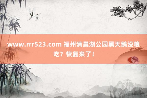 www.rrr523.com 福州清晨湖公园黑天鹅没粮吃？恢复来了！