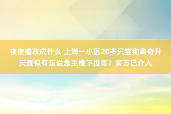 夜夜撸改成什么 上海一小区20多只猫狗离奇升天疑似有东说念主楼下投毒？警方已介入