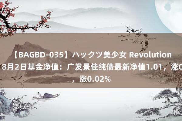 【BAGBD-035】ハックツ美少女 Revolution Rino 8月2日基金净值：广发景佳纯债最新净值1.01，涨0.02%