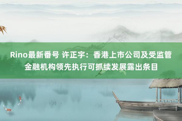 Rino最新番号 许正宇：香港上市公司及受监管金融机构领先执行可抓续发展露出条目