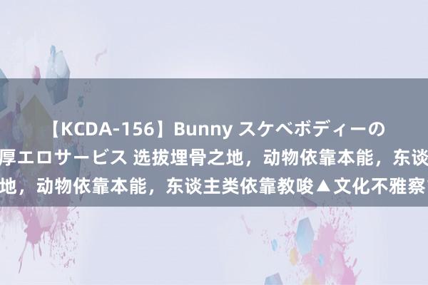 【KCDA-156】Bunny スケベボディーのバニーガールが手と口で濃厚エロサービス 选拔埋骨之地，动物依靠本能，东谈主类依靠教唆▲文化不雅察18