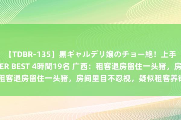 【TDBR-135】黒ギャルデリ嬢のチョー絶！上手いフェラチオ！！SUPER BEST 4時間19名 广西：租客退房留住一头猪，房间里目不忍视，疑似租客养错了品种