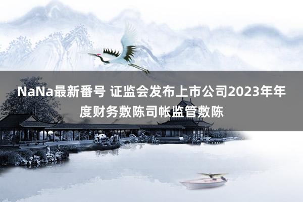 NaNa最新番号 证监会发布上市公司2023年年度财务敷陈司帐监管敷陈