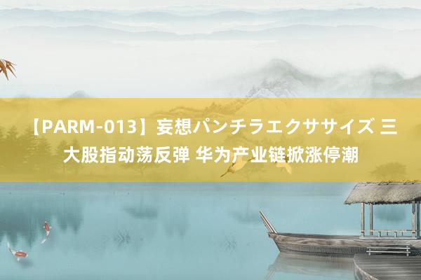 【PARM-013】妄想パンチラエクササイズ 三大股指动荡反弹 华为产业链掀涨停潮