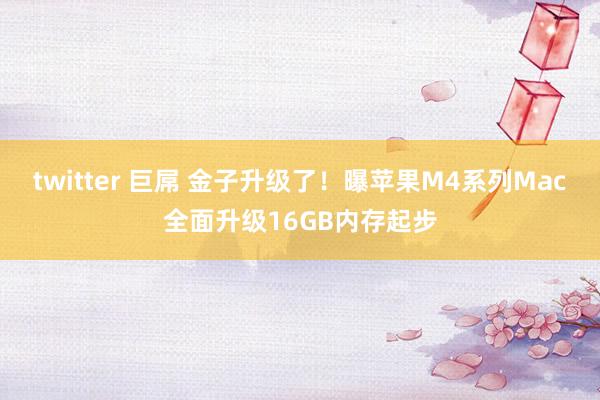 twitter 巨屌 金子升级了！曝苹果M4系列Mac全面升级16GB内存起步