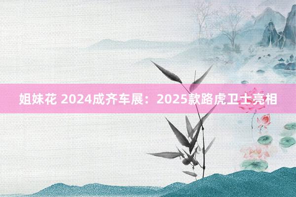 姐妹花 2024成齐车展：2025款路虎卫士亮相