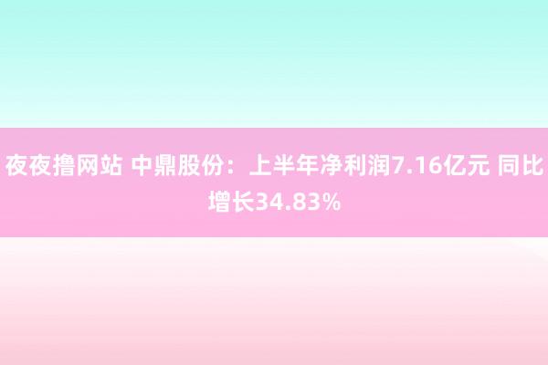 夜夜撸网站 中鼎股份：上半年净利润7.16亿元 同比增长34.83%