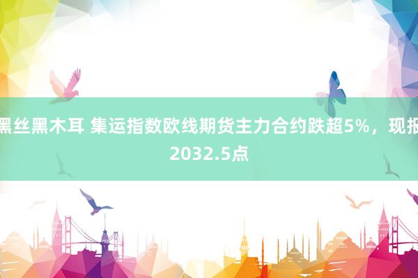 黑丝黑木耳 集运指数欧线期货主力合约跌超5%，现报2032.5点