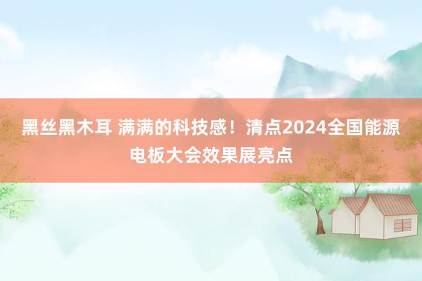 黑丝黑木耳 满满的科技感！清点2024全国能源电板大会效果展亮点