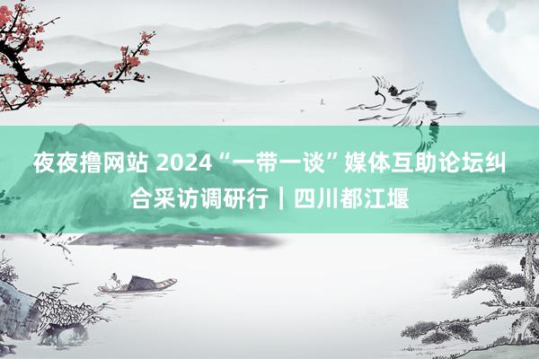 夜夜撸网站 2024“一带一谈”媒体互助论坛纠合采访调研行｜四川都江堰