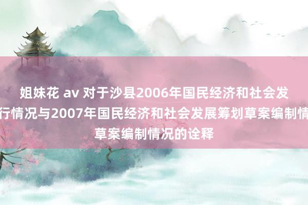 姐妹花 av 对于沙县2006年国民经济和社会发展筹划奉行情况与2007年国民经济和社会发展筹划草案编制情况的诠释